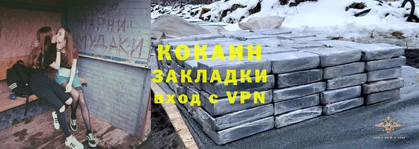 mdpv Богородицк