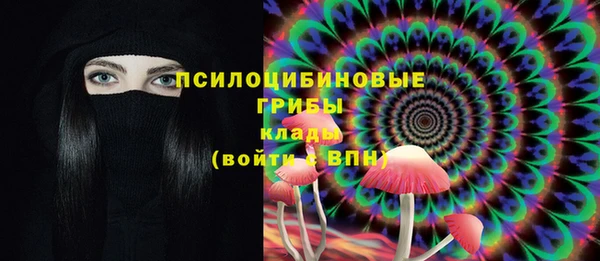 mdpv Богородицк